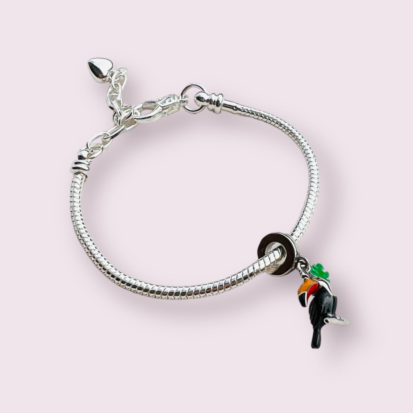 Toucan Bird Charm - Ammolato